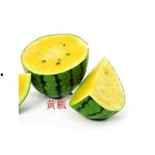 手指指瓜热门视频,揭秘手指指瓜热门视频背后的魅力