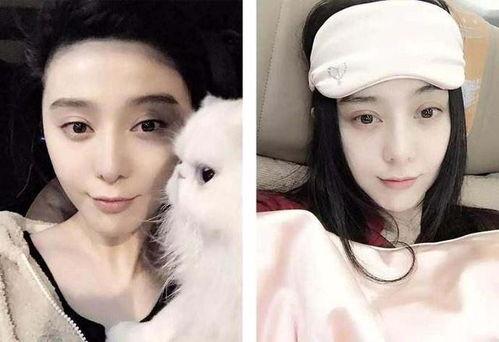 明星热门吃瓜网名大全女,盘点明星女神们的独特网名