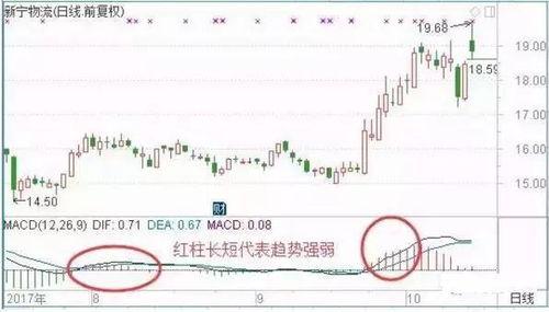 广州今日头条卖瓜事件,网络谣言与真相的较量