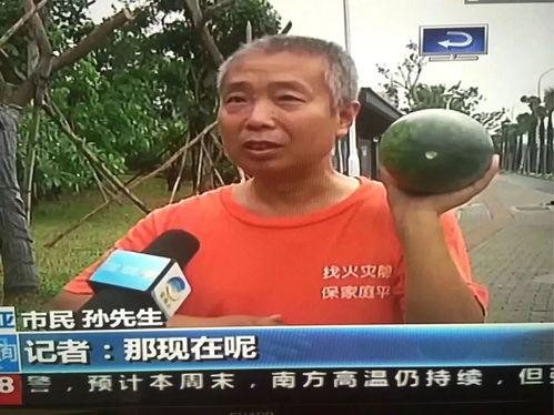 最近热门事件吃瓜专区,吃瓜专区带你一探究竟