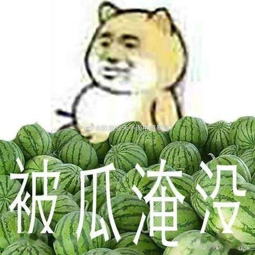 黑料吃瓜爆料网红一区,黑料吃瓜背后的真相与内幕
