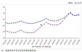 瓠瓜今日价格行情走势,今日行情走势解析