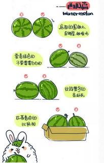 上热门开始摘瓜了,网络现象的演变与影响