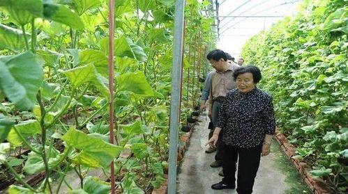 威远吃瓜最新事件爆料是真的吗