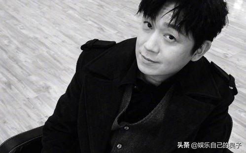 小年轻明星网红男,小年轻明星网红男生的璀璨星途