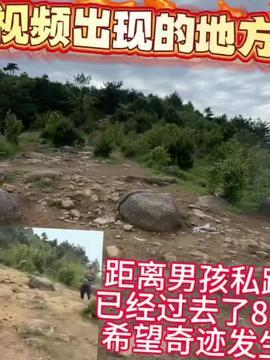 哈密瓜视频今日头条,揭秘瓜界新宠，带你领略哈密瓜的独特魅力