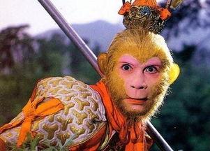 黑悟空小和尚吃瓜,黑悟空小和尚的瓜田奇遇记