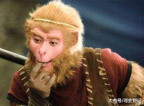 黑悟空小和尚吃瓜,黑悟空小和尚的瓜田奇遇记