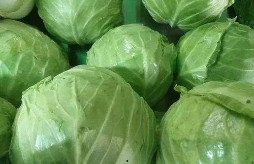 莱西庄头今日角瓜的价格,新鲜直供，品质保证！”