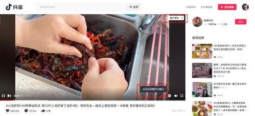 抖音热门大瓜黑料在线,真相与争议背后的网络风云