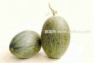嘉兴哈密瓜行情今日价格,价格波动与市场动态一览