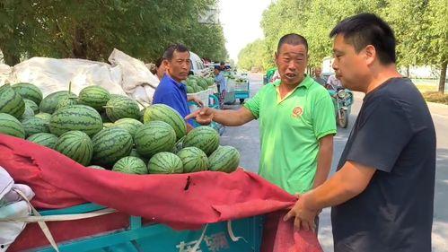 韩寺镇吊瓜价格今日,市场行情一览无余”