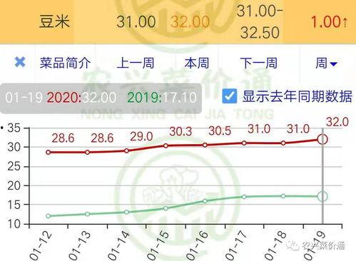 小蜜瓜今日价格行情走势,今日行情走势解析