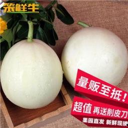 阎良梨瓜今日价格最新,市场行情一览无余”