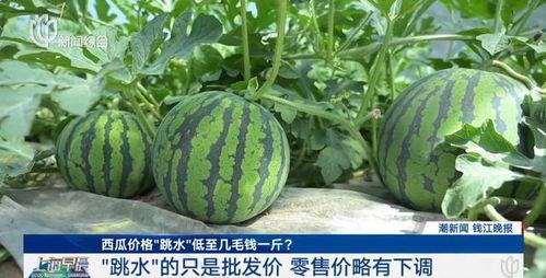 51黑料吃瓜网热点大瓜,最新热点大瓜事件深度解析