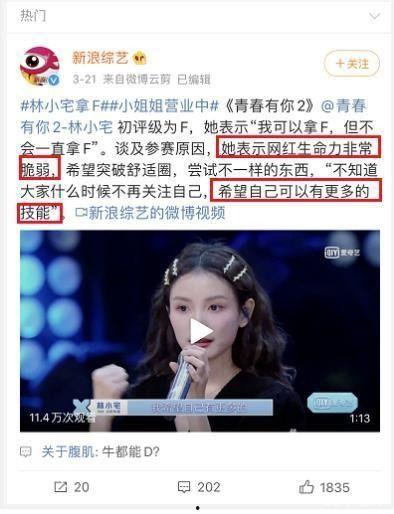 直播明星网红打赏,网红打赏现象解析与影响