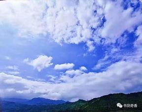 八月瓜热门歌曲,盘点年度热门歌曲