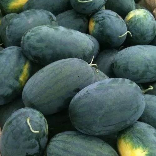 湖北吃瓜热门事件