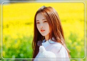 明星网红区别拍照,风格差异与拍摄策略解析