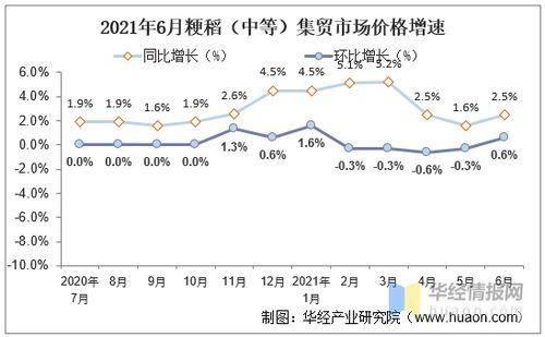 开封今日瓜价行情走势分析,今日走势解析，价格波动背后的秘密