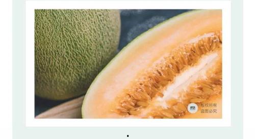 今日海南小蜜瓜价格行情,甜蜜来袭，价格波动解析