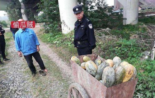 甘洛近期热门吃瓜事件,揭秘近期热门吃瓜事件背后的真相