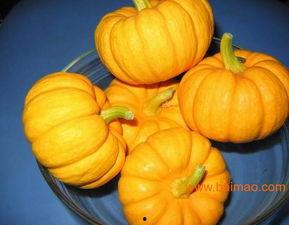 今日寿光吊瓜价格行情,涨跌波动，市场动态一览