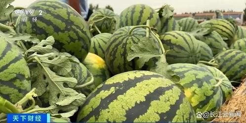 ks热门瓜,娱乐圈风云再起，真相与谣言交织