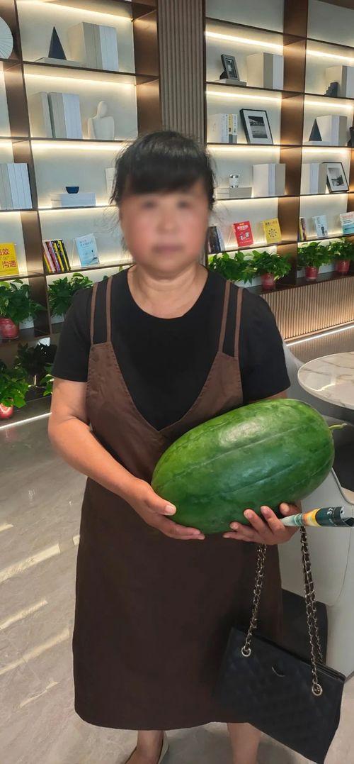 今日闲情种瓜得瓜,体验田园生活的收获喜悦