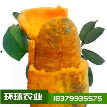 网络热门瓜九月