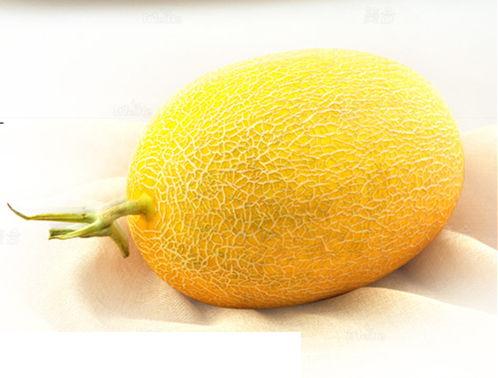 广西今日黄皮哈密瓜价格,今日行情一览