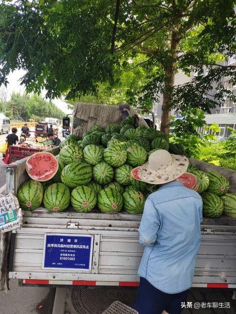 宁夏今日茭瓜价格表