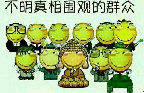 五一吃瓜网网页版今日吃瓜胖猫