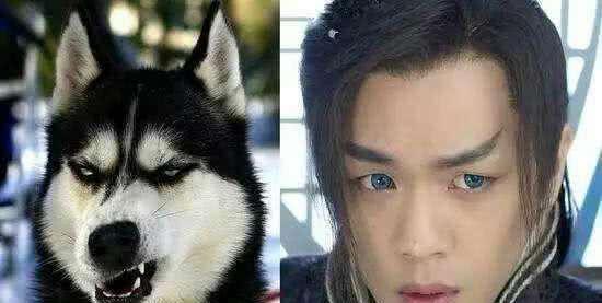 撞脸明星网红狗血,狗血剧情引网友热议